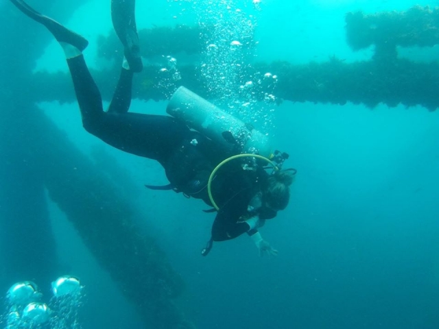  Diving into the water 